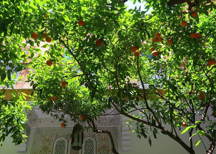 Ryad El Borj